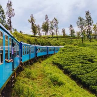 10 DAYS SRI LANKA TOUR