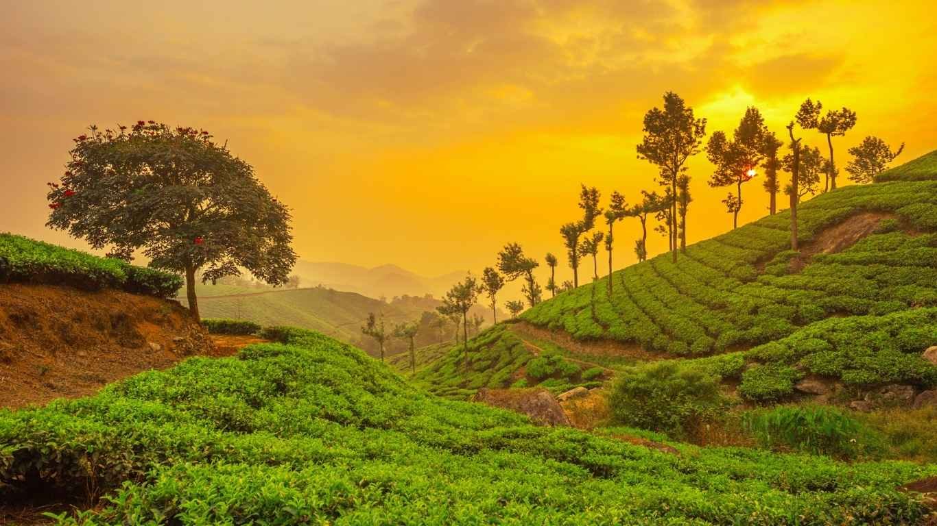 MUNNAR TOUR 