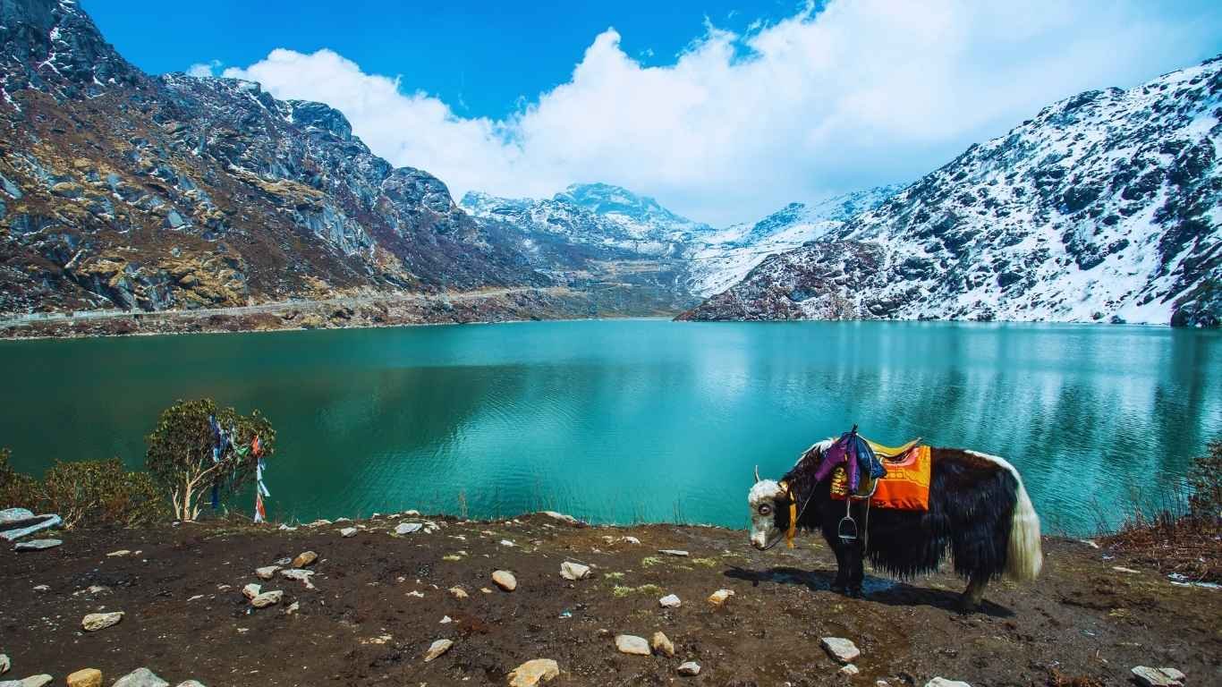 Beautiful Sikkim Tour