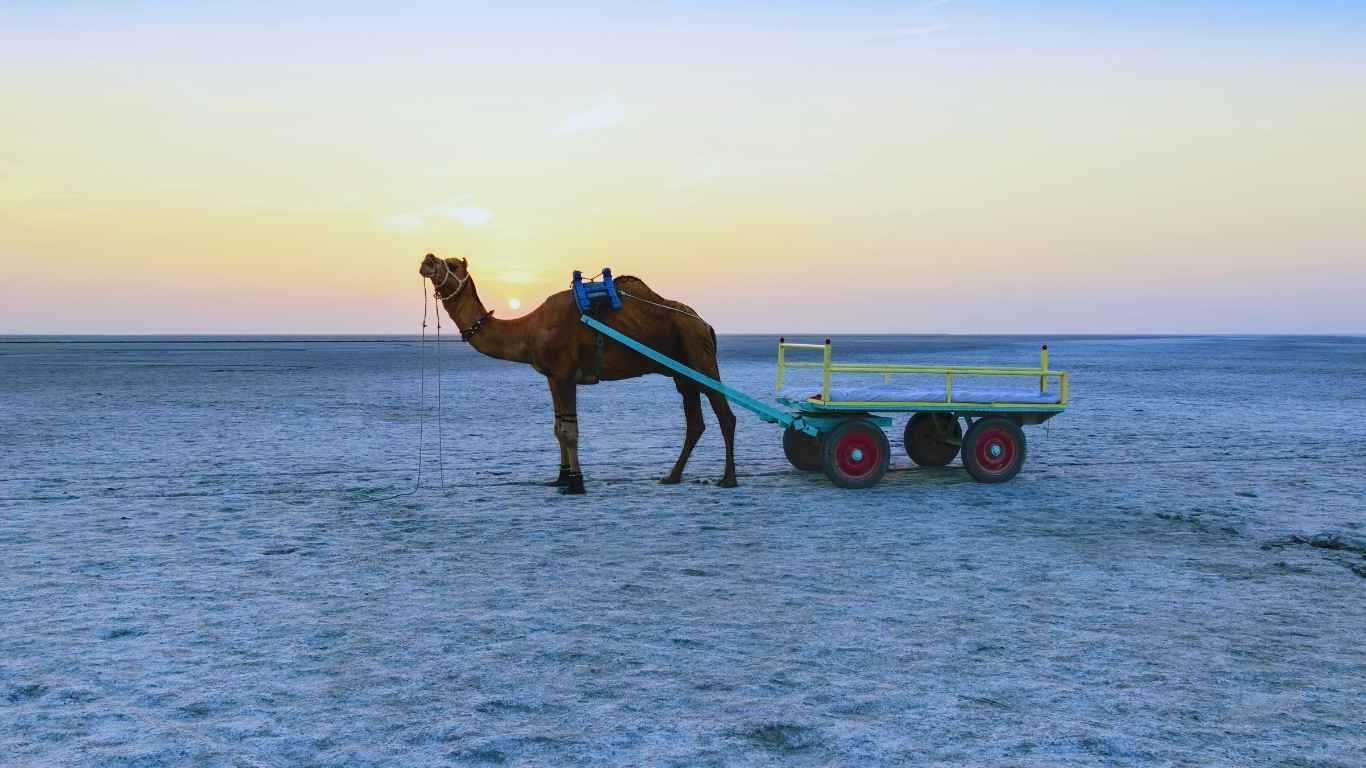 Best Of Gujarat Tour(5N/6D)