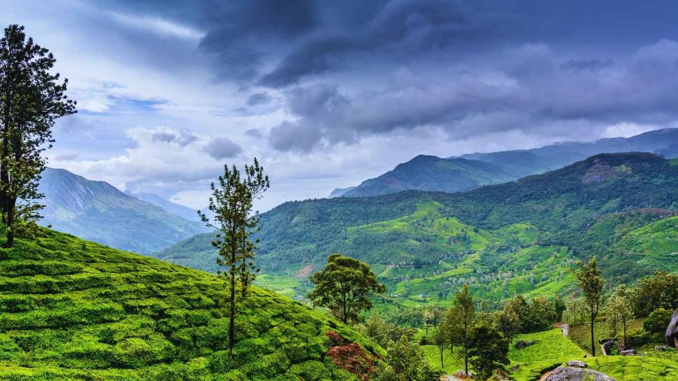 Beautiful Kerala Tour