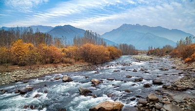 BEST OF KASHMIR TOUR