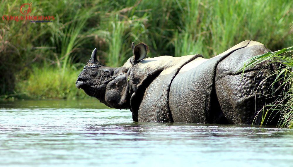 Nepal Heritage & Wildlife Tour – 7 Days